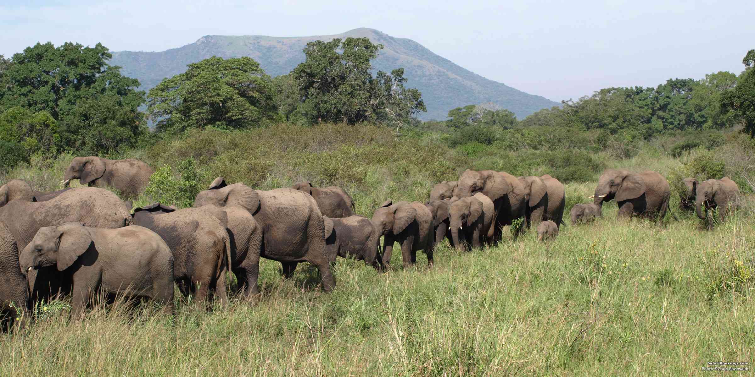 Wildlife and nature reserves